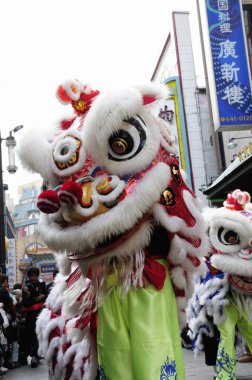 Çin Yeni Yıl Geçidi Kanto-Koshinetsu Bölgesi, Japonya