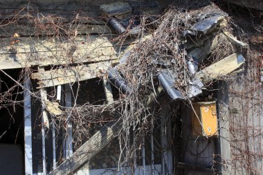 Terk edilmiş binanın dış yüzeyi sarmaşıklar ve molozlarla kaplı.