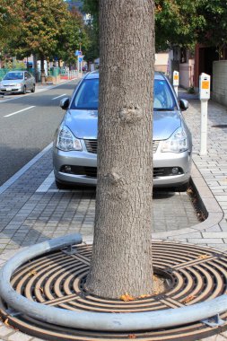 Ağaç gövdesi yuvarlak metal ızgarayla çevrili