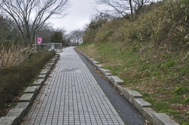 Boş taş patika bulutlu gökyüzü ile sessiz park boyunca kıvrılıyor.