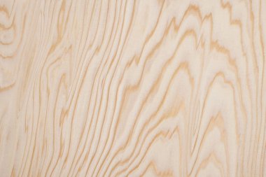 Beyaz Orman. Ahşap Doku Arkaplanı.