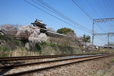 Güzel antik Japon tapınağının manzaralı görüntüsü.