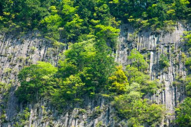 dağ zirvesi ve yeşil ağaçlar 