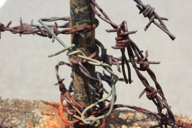 Paslı dikenli teller sımsıkı sarılmış ahşap direğe dışarıda.