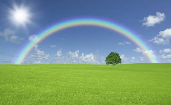 colorful rainbow and green grass field
