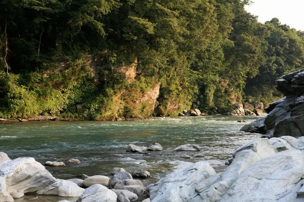 Ormandaki Nehir Kayalar — Stok fotoğraf