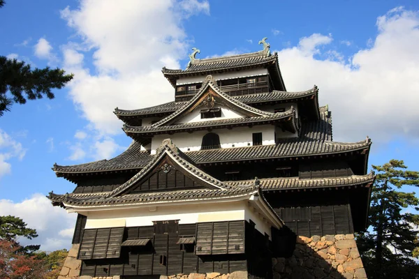 Japonya 'daki Majestic Matsue Kalesi. seyahat hedefi
