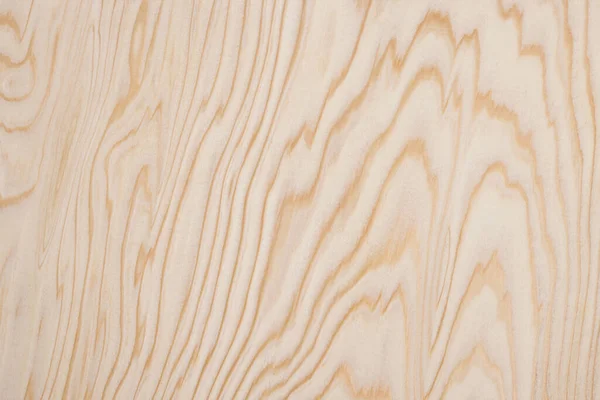 White Wood Texture Bois Fond — Photo