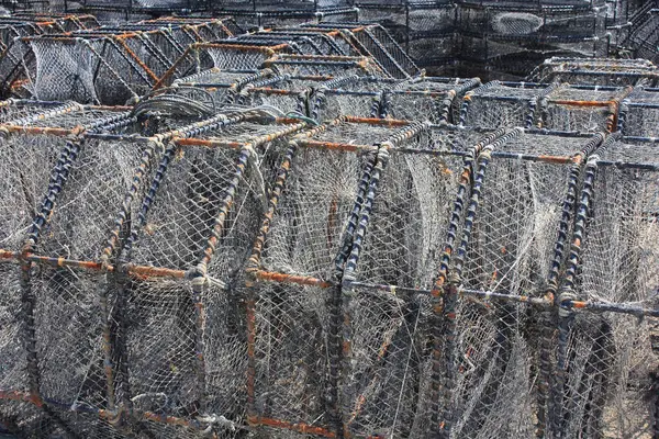 Limanda Yengeç Kapanı Var Istiflenmiş Balık Ağları — Stok fotoğraf