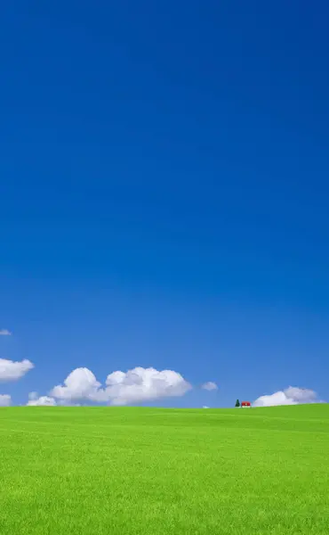 Güzel Yeşil Tarla Mavi Gökyüzü Kırsalda — Stok fotoğraf