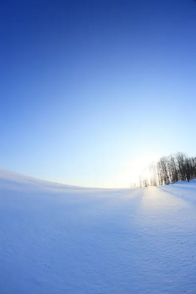 Hermoso Campo Nieve Durante Soleado Día Invierno —  Fotos de Stock