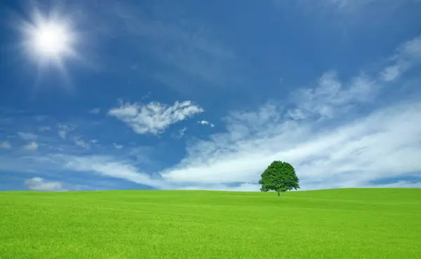 Campo Verde Cielo Azul Con Nubes Por Encima —  Fotos de Stock