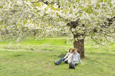 Genç Asyalı çift kiraz çiçekleri parkında birlikte dinleniyor. 