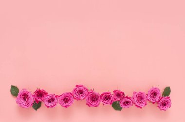 Arka planda güzel pembe güller, kapatın.