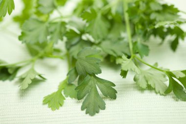 Beyaz arka planda taze yeşil maydanoz