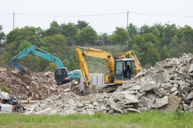 Yeşil kazıcının yakınındaki molozları kazan sarı kazıcı.