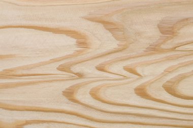 Beyaz Orman. Ahşap Doku Arkaplanı.