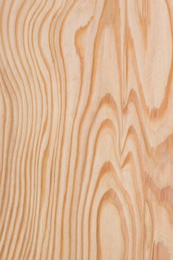 Beyaz Orman. Ahşap Doku Arkaplanı.