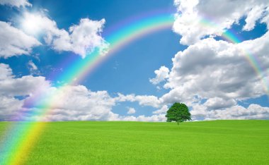 Renkli gökkuşağı ve yeşil çimen tarlası