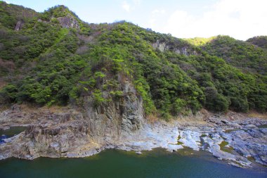Güzel deniz manzarası, kayalar ve yeşil ağaçlar.