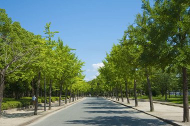Parkın güzel manzarası