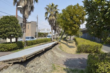 Kentsel alandaki ağaçların ve çalıların yanında hasarlı kaldırım