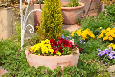 Beautiful front yard with different plants. Gardening and landscaping