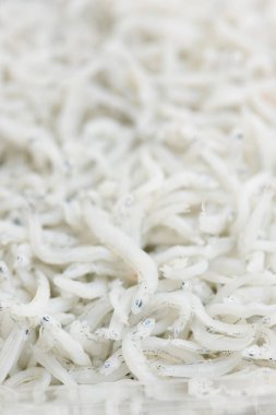 Bir sürü beyaz balığın olduğu bir arka plan