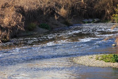 Sonbahar ormanlarında akan küçük bir nehir.