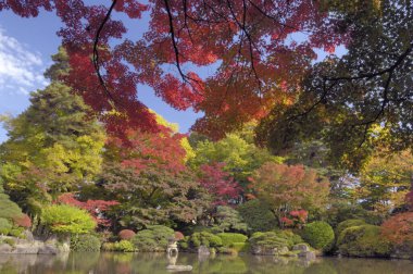 Yamagata, Japonya 'daki Momiji Park' ın sonbahar manzarası