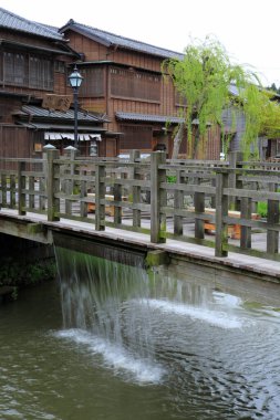 Gölün kenarındaki sakin bir Asya parkı, yaz güneşinde yakalanmış..