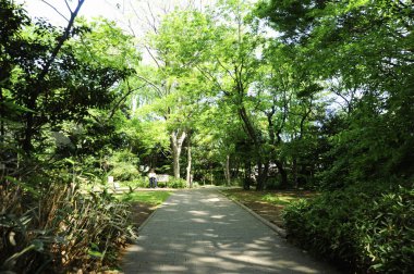 Japon şehrindeki parkın güzel manzarası.