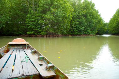 Nehirdeki eski tekne Mangrove Ormanı, Vietnam