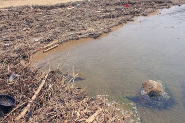 Çöp ve atık arka planda, kapatın