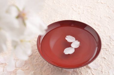 Güzel kiraz çiçekleri kırmızı tabakta suda yüzüyor. 