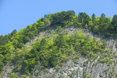 dağ zirvesi ve yeşil ağaçlar 