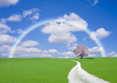 güzel renkli gökkuşağı yeşil çayırın üzerinde çiçek açan ağaçla