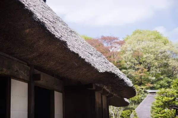 Traditioneel Japans Huis Met Rieten Dak Japans — Stockfoto