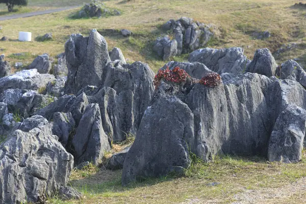 Камень Горах — стоковое фото