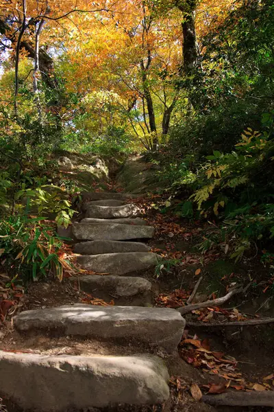 Stone Stairs Autumn Park — Stock Photo, Image