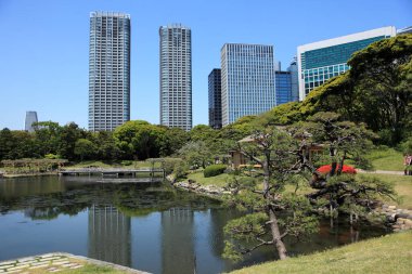 Tokyo şehrinin şehir manzarası, Japonya