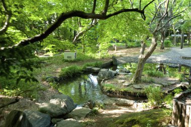 Parkın güzel manzarası