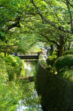 Parkın güzel manzarası