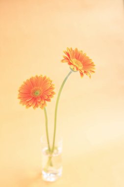 Masadaki güzel çiçekler.