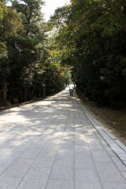 Parkın güzel manzarası