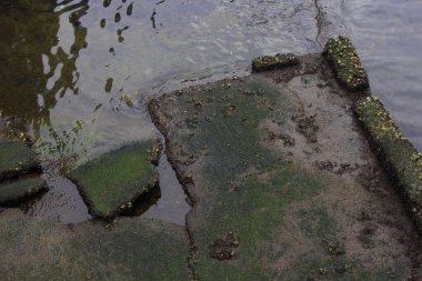 Arka plandaki eski paslı köprü, kapat.