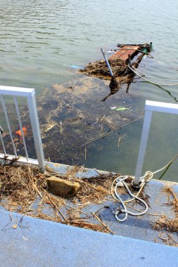 Batık araba rıhtımın yanındaki bulanık suyun altında kısmen görülebiliyor.