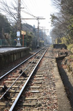 Şehirdeki boş tren raylarının görüntüsü 