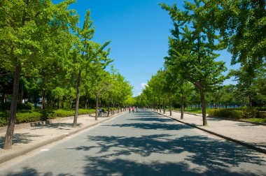 Parkın güzel manzarası