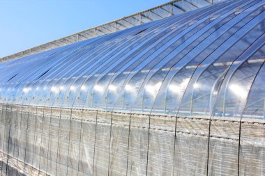 Modern bir binanın çatısı.